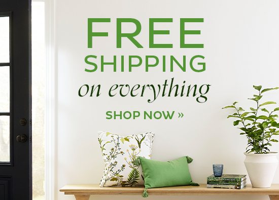 Free Shipping on Everything*