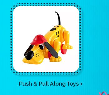 Push & Pull Along Toys