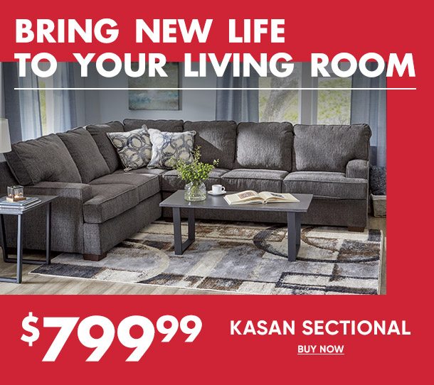 Kasan sectional shop