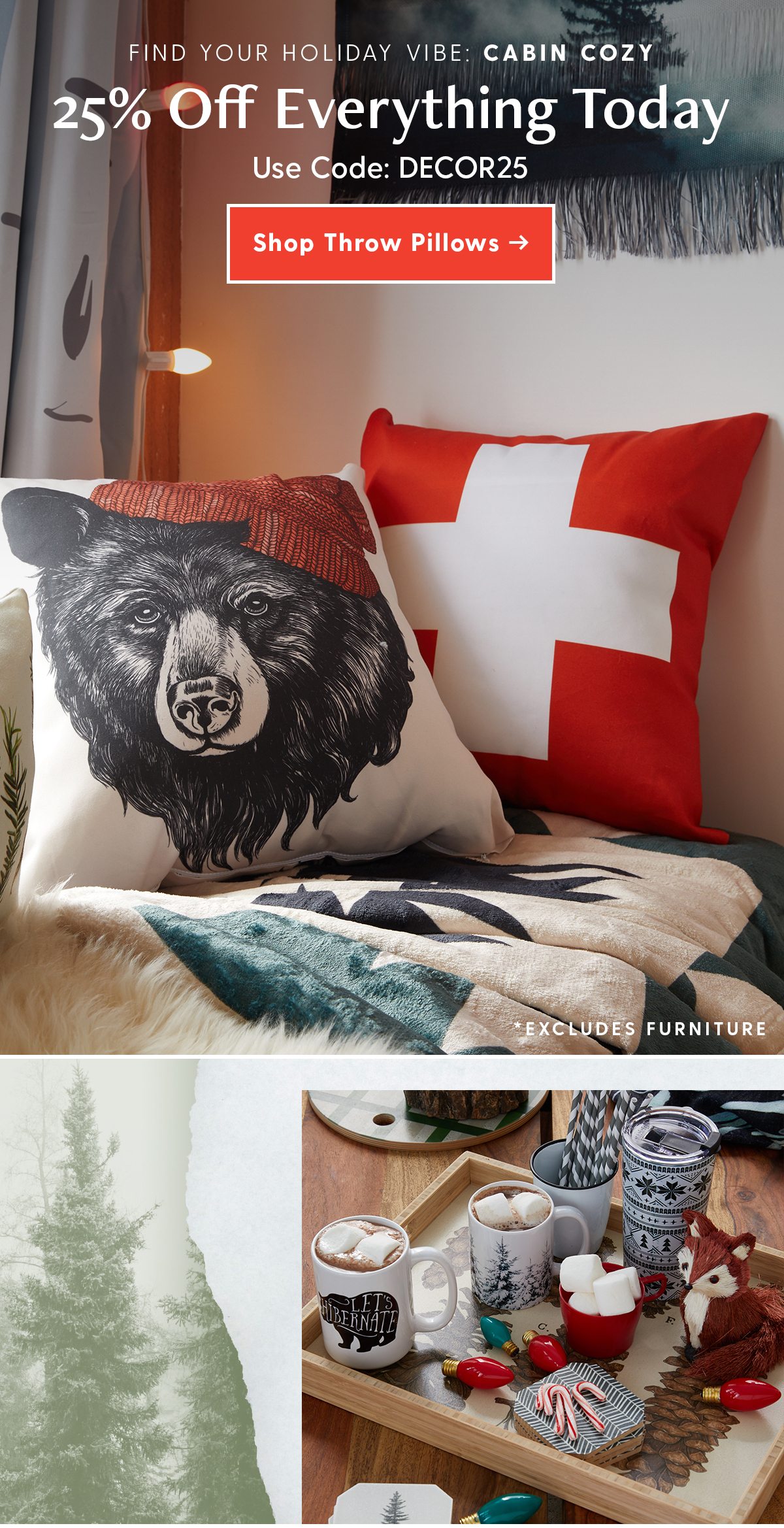 25% Off Everything Today Use Code: DECOR25 *Excludes Furniture CTA: Shop Throw Pillows >