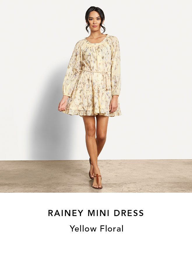 rainey mini dress 