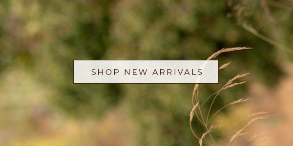 Shop New Arrivals »