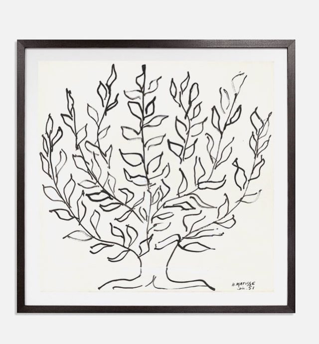 Matisse - The Plain Tree 1951 Framed Print & Mount