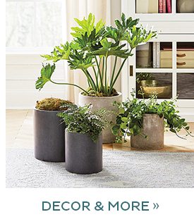 Clearance Decor & More