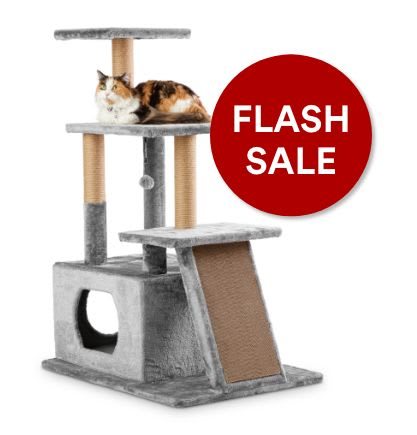 Flash Sale