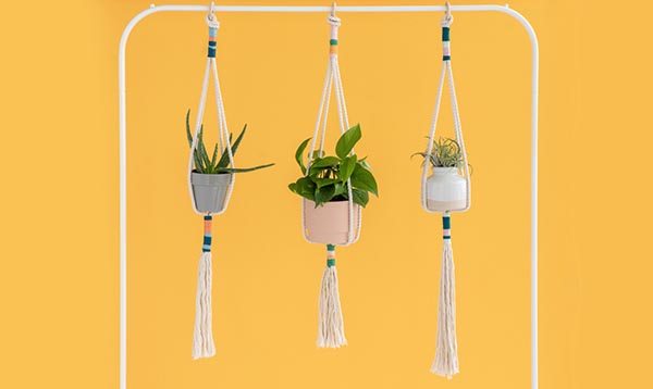 Knotted Rope Plant Hanger