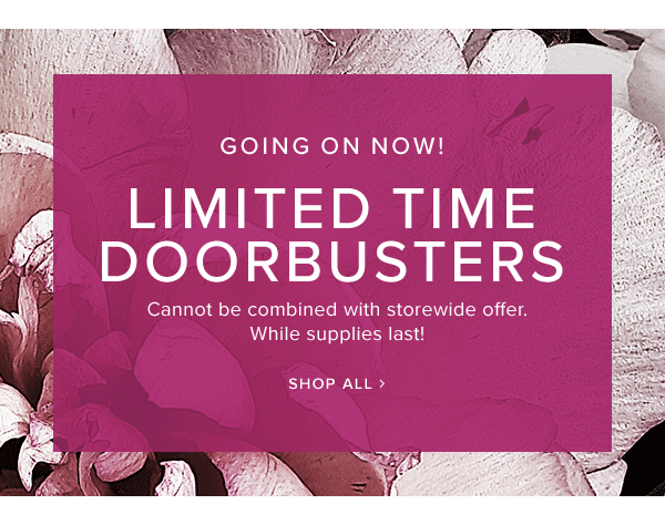 Going on now. Limited time doorbusters. Cannot be combined with storewide offer. While supplies last! Shop All.