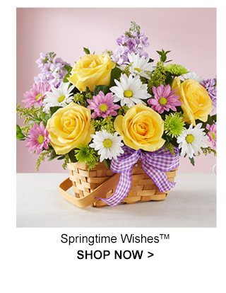 Springtime Wishes