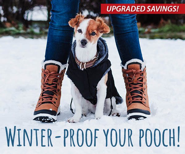 Upgraded Savings: Winter-Proof Your Pooch! 10% Off | 20% Off over $79 | $3.99 Shipping over $99*