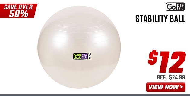 GoFit Stability Ball