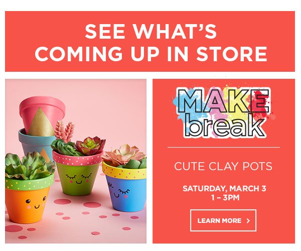 MAKEbreak: Cute Clay Pots