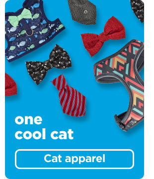 On cool cat. Cat apparel.