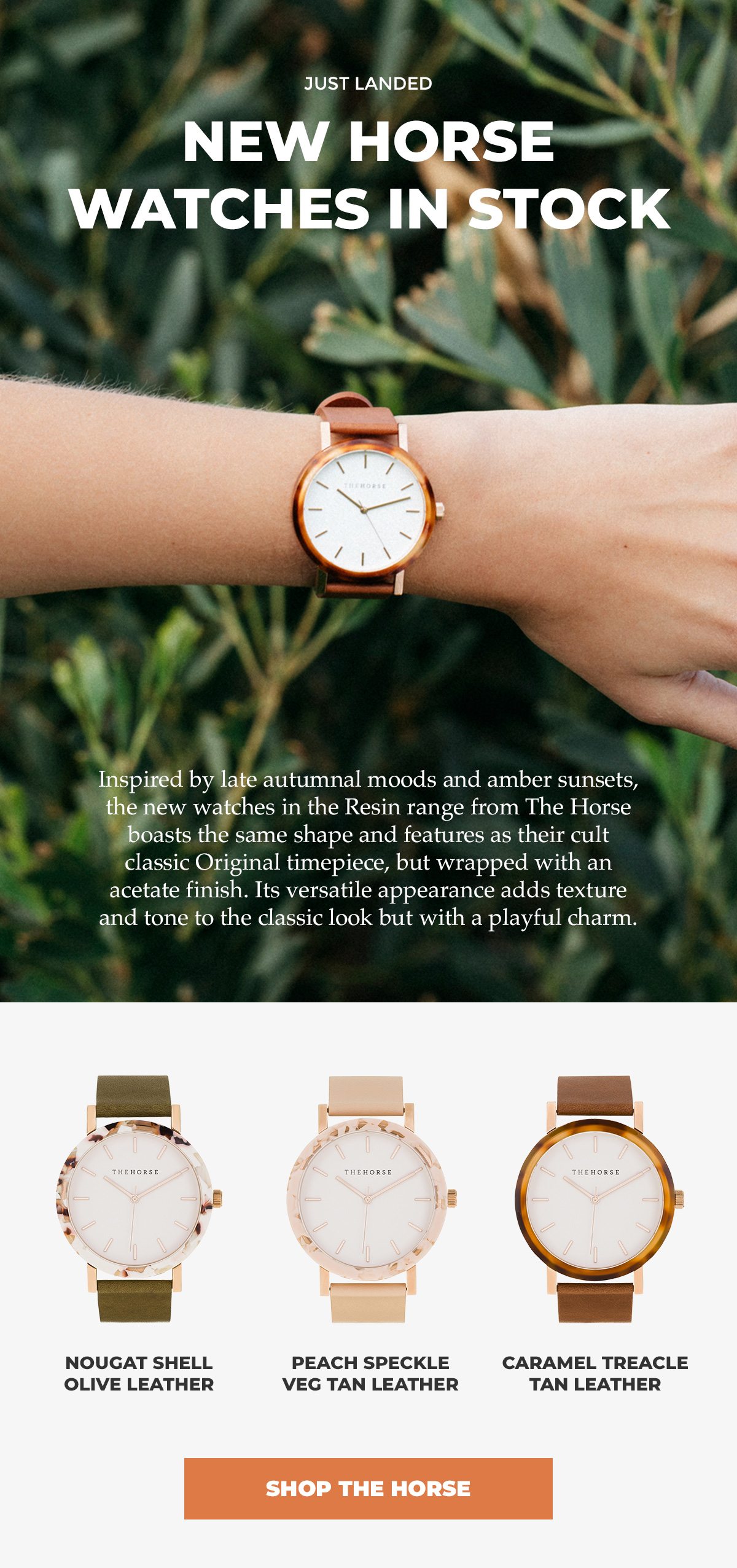 The horse resin clearance watch