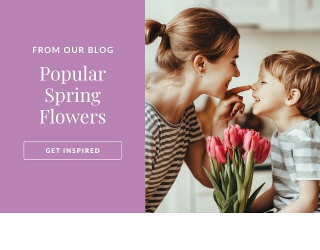 POPULAR SPRING FLOWERS