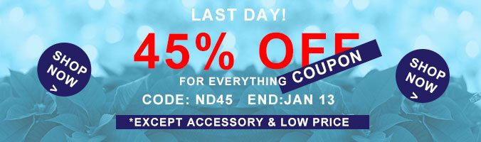 Last Day!