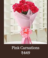 beautiful-pink-carnations