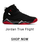 Jordan True Flight "Black/Gym Red/Metallic Silver" Men's Shoe