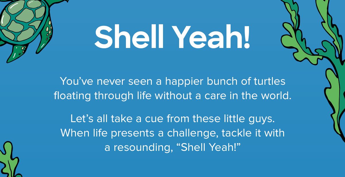 You’ve never seen a happier bunch of turtles floating through life without a care in the world. Let’s all take a cue from these little guys. When life presents a challenge, tackle it with a resounding, “Shell Yeah!” 