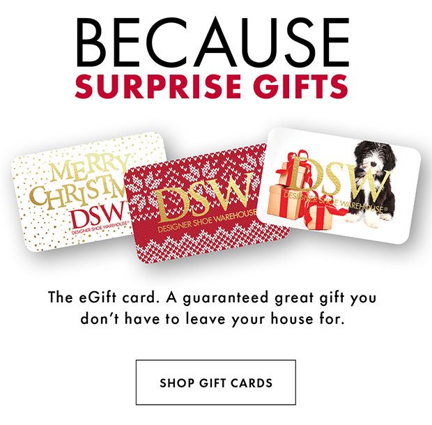 dsw 2 day shipping