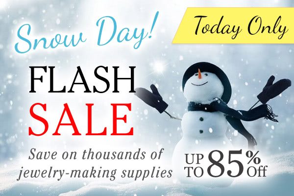 Snow Day Flash Sale