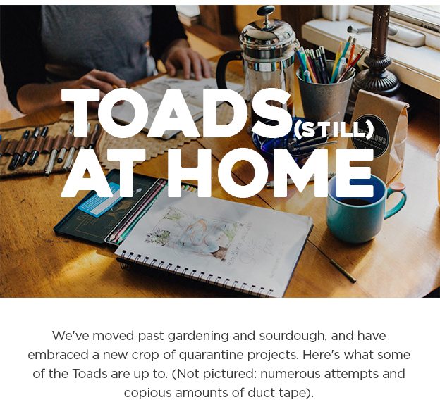 Toads (still) at home