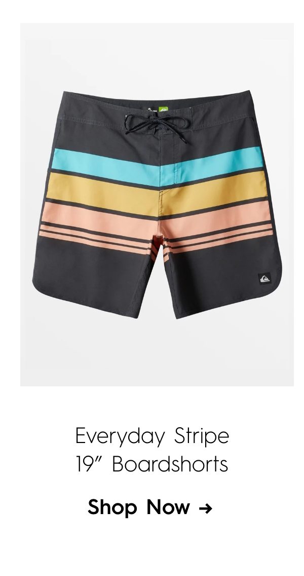 Everyday Stripe 19" Boardshorts