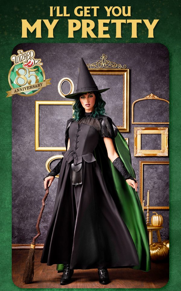 Shop Wicked Witch Costume