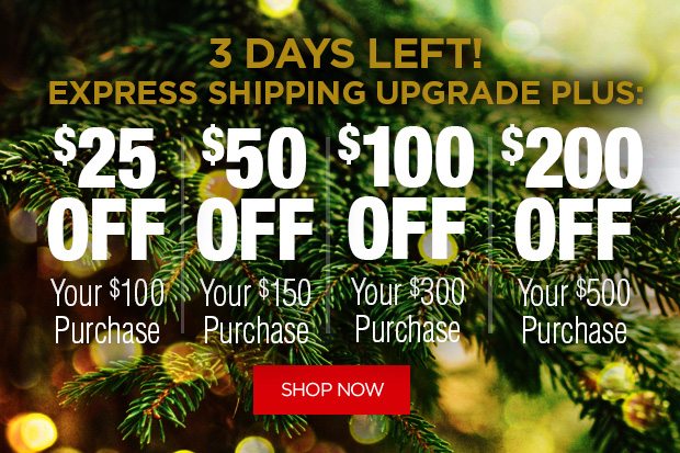 3 Days Left - Express Shipping Upgrade