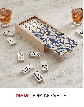 NEW Domino Set