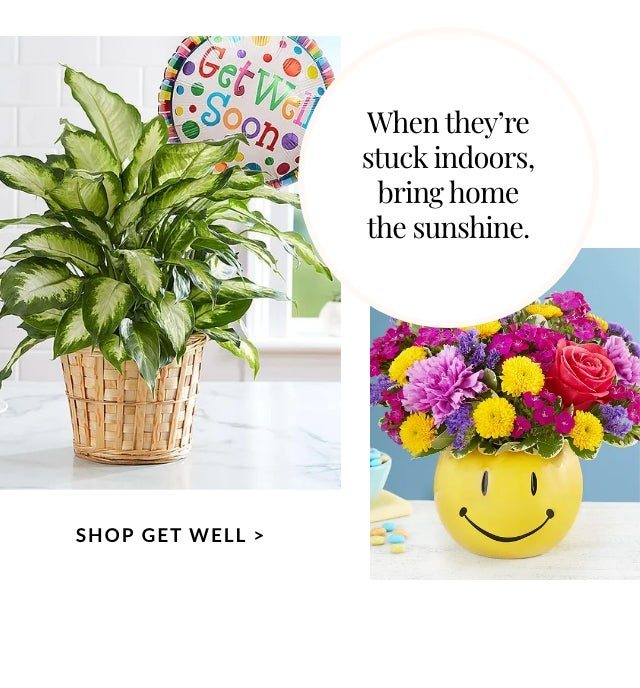 Shop Get Well