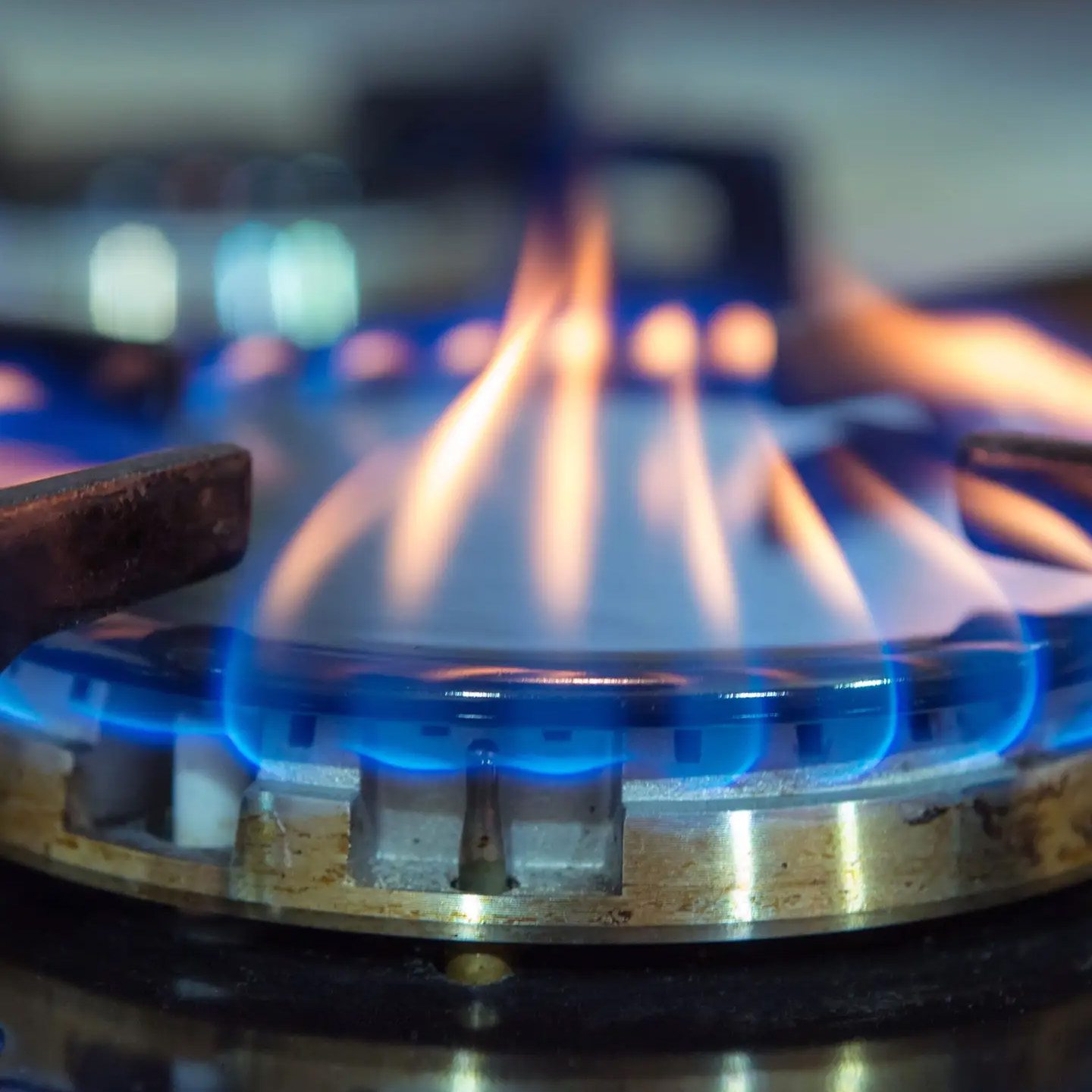 What Could a Gas Stove Ban Mean for Cooks?