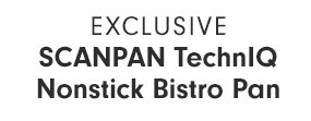 EXCLUSIVE - SCANPAN TechnIQ Nonstick Bistro Pan