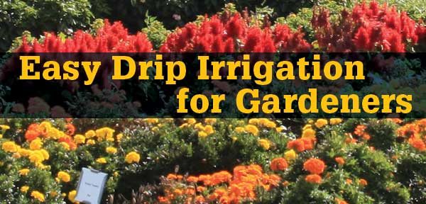 Easy Drip Irrigation for Gardeners