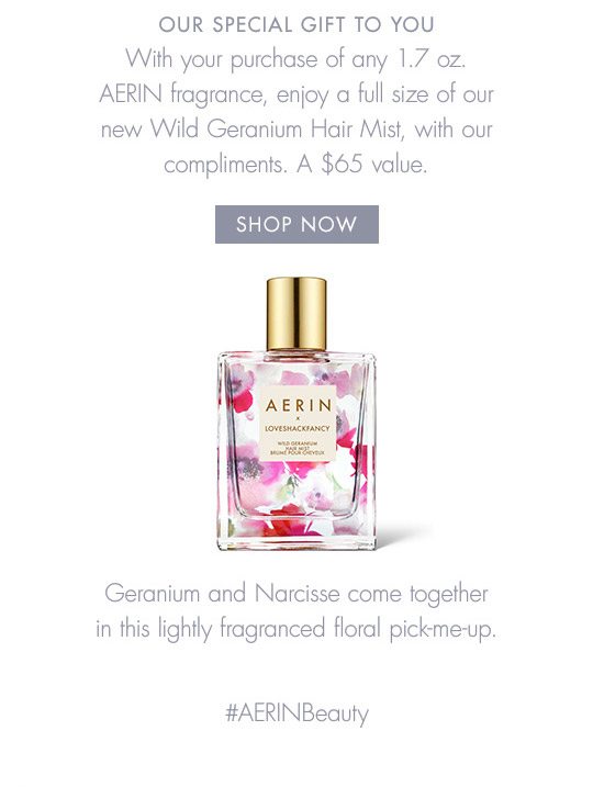 A Special Gift from AERIN Est e Lauder Email Archive