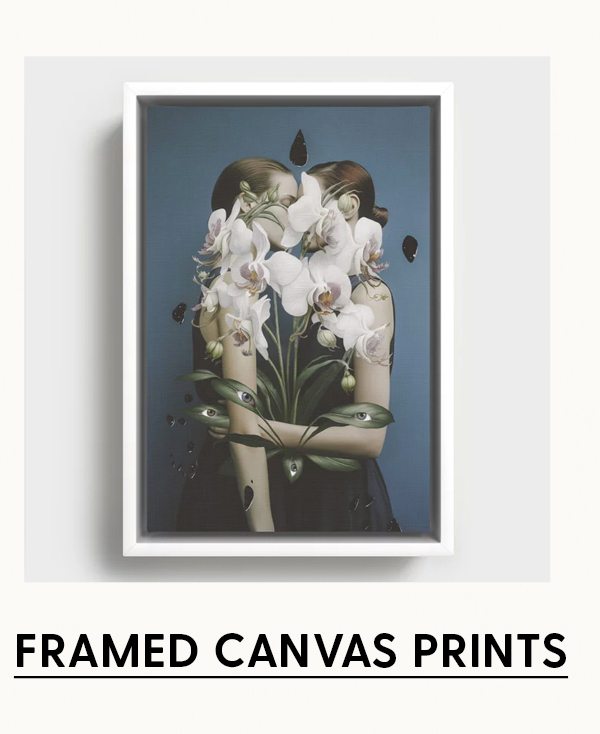 Shop Framed Canvas Prints