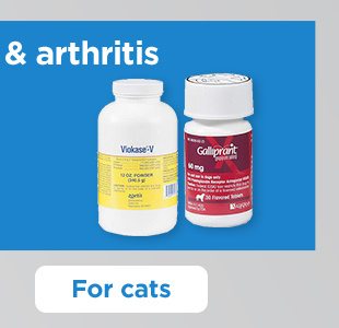 Pain relief & arthritis. For cats.