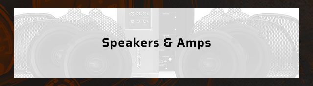 Speakers & Amps