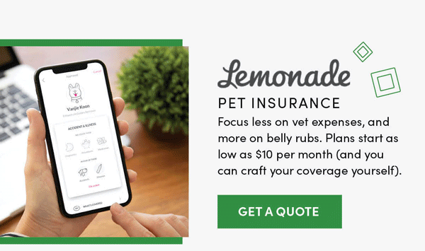Lemonade Pet Insurance | Get A Quote
