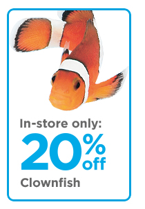In-store only: 20% off Clownfish
