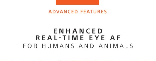 ENHANCED REAL-TIME EYE AF | FOR HUMANS AND ANIMALS