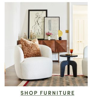 Shop Furniture