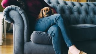 If You Feel Like Shit, This Site Can Help 
