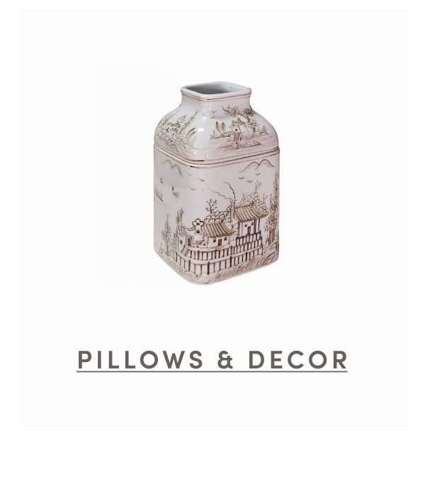 Shop Pillows & Decor