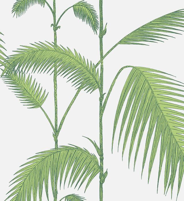 Cole & Son Palm Jungle Wallpaper