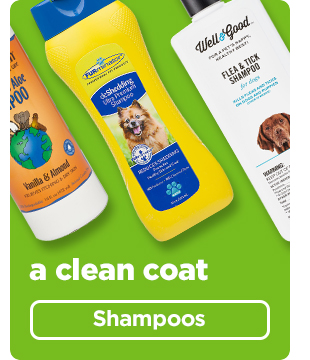 Shop Shampoos >