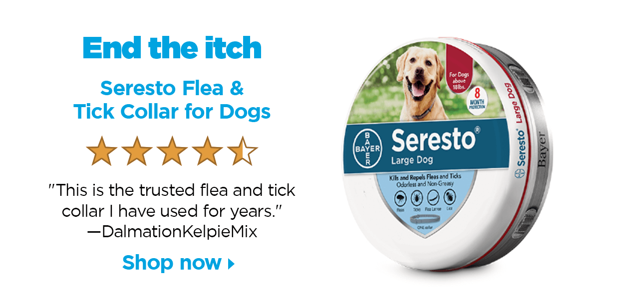 End the itch. Seresto Flea & Tick Collar for Dogs. 4.5 stars. "This is the trusted flea and tick collar I have used for years." —DalmationKelpieMix. Shop now.