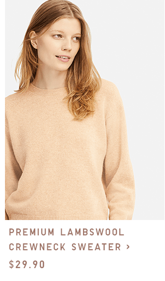 PREMIUM LAMBWOOL CREWNECK SWEATER $29.90