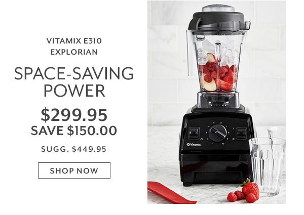 Vitamix E310 Explorian