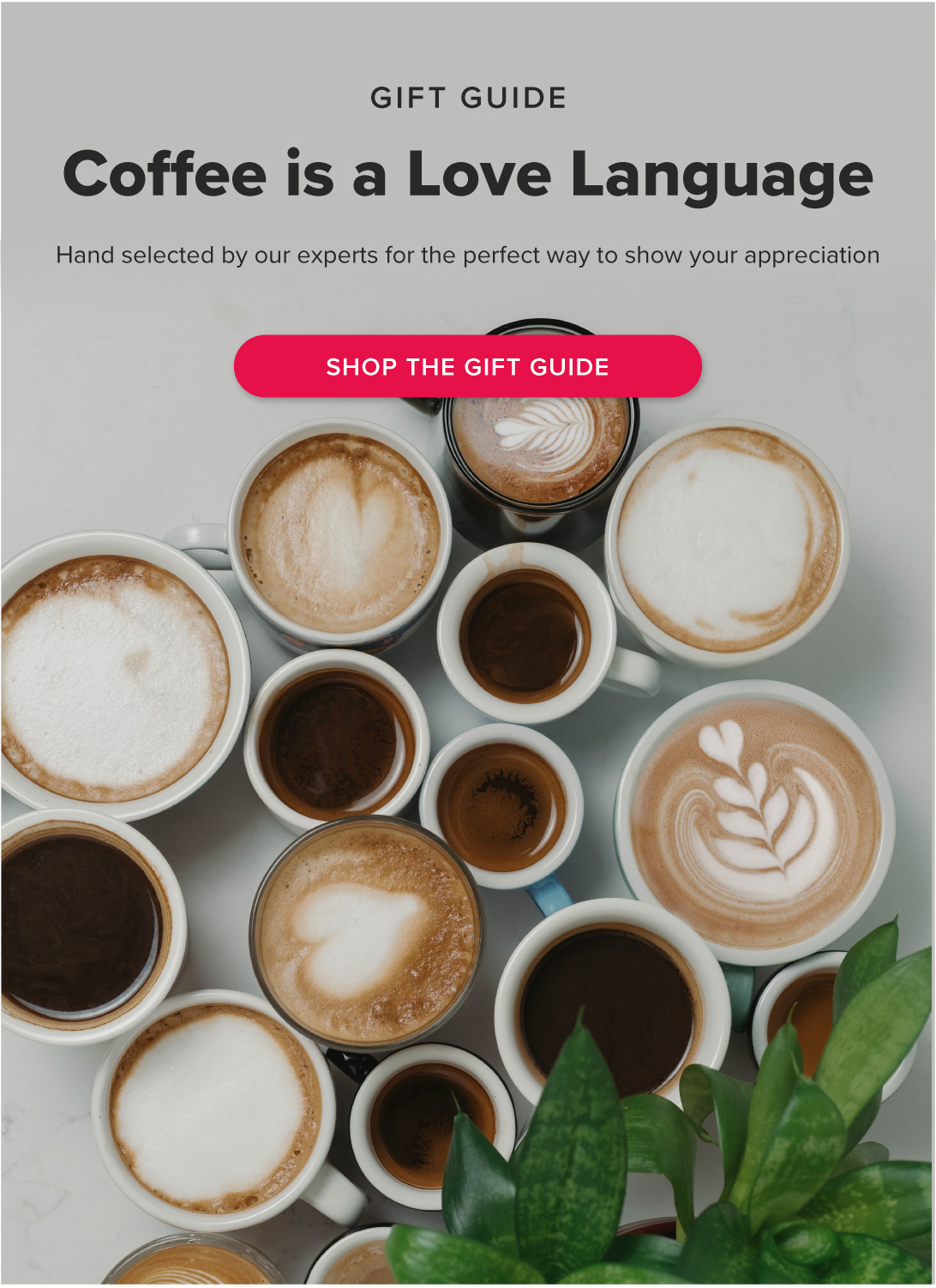 Gift Guide Coffee is a Love Language Hand selected by our experts for the perfect way to show your appreciation [Shop the Gift Guide[