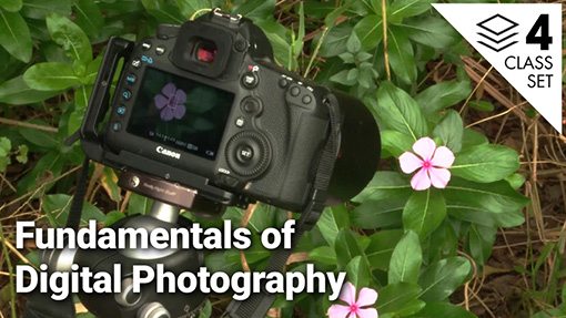 Fundamentals of Digital Photography 4-Class Set